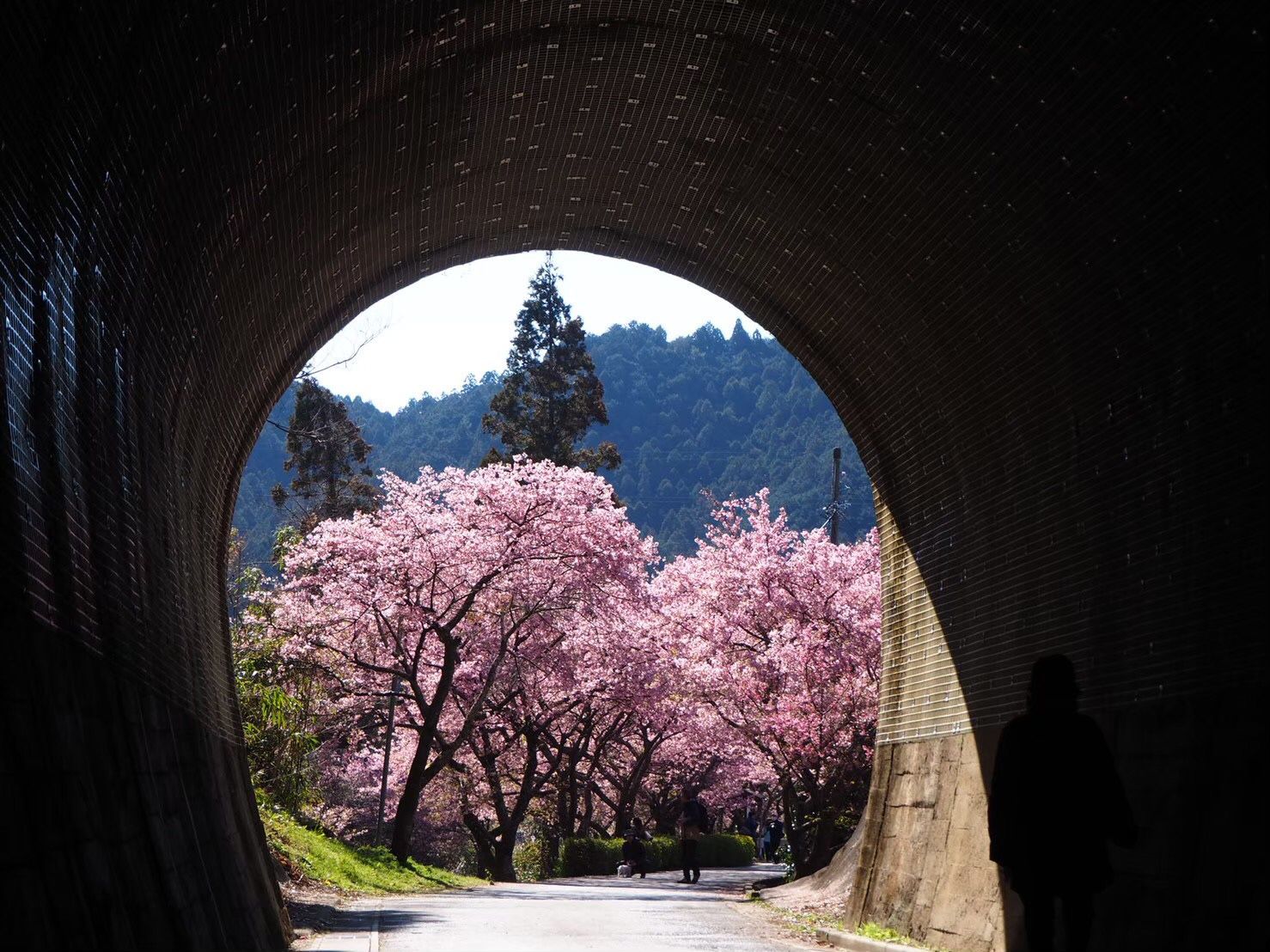 新たな土地での生活を始めるために考慮すべき要素