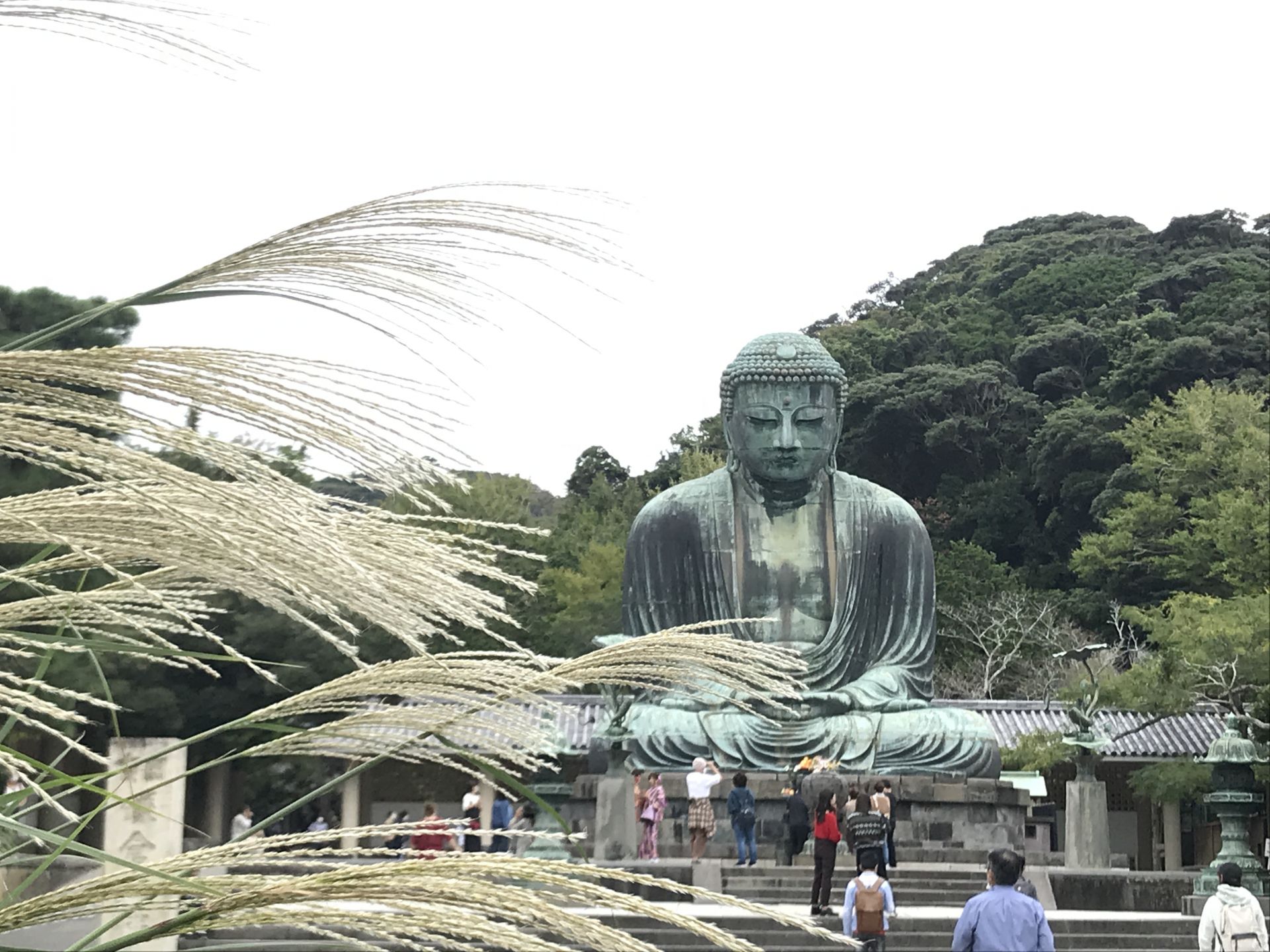 新しい生活を始めるための移住準備とポイント